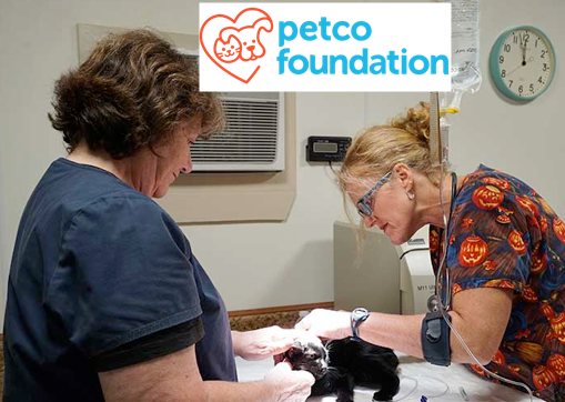 Petco Foundation Grants HSCCL an $18,000 Grant